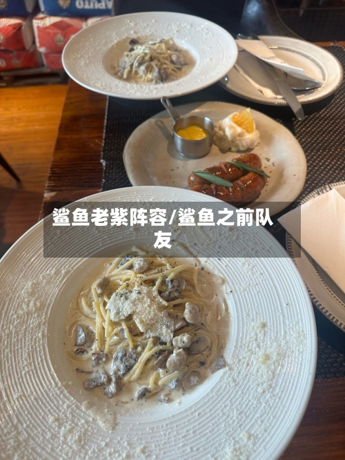 鲨鱼老紫阵容/鲨鱼之前队友
