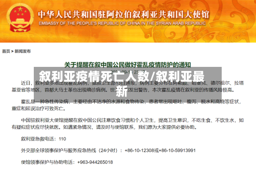 叙利亚疫情死亡人数/叙利亚最新-第3张图片