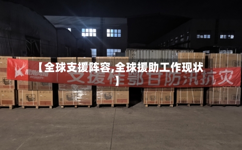 【全球支援阵容,全球援助工作现状】-第2张图片