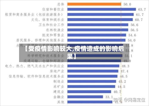 【受疫情影响较大,疫情造成的影响后果】-第2张图片