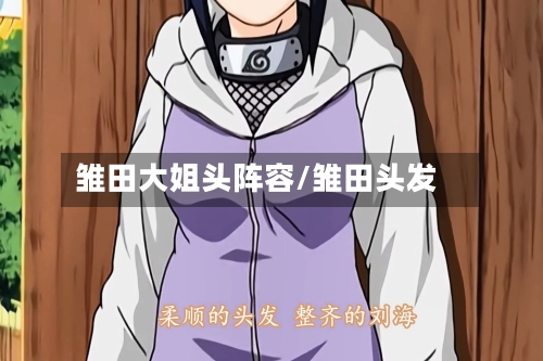 雏田大姐头阵容/雏田头发