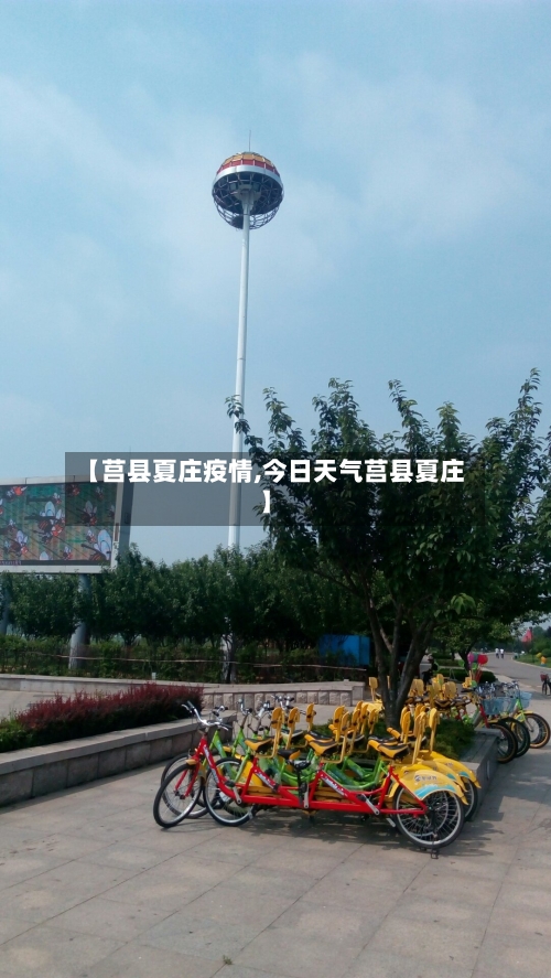 【莒县夏庄疫情,今日天气莒县夏庄】