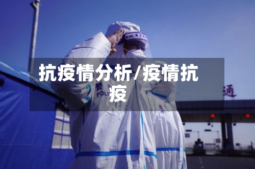 抗疫情分析/疫情抗疫-第3张图片