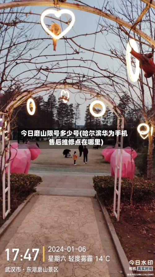 今日磨山限号多少号(哈尔滨华为手机售后维修点在哪里)-第2张图片