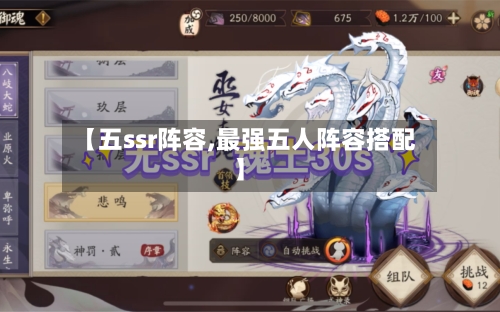 【五ssr阵容,最强五人阵容搭配】-第3张图片
