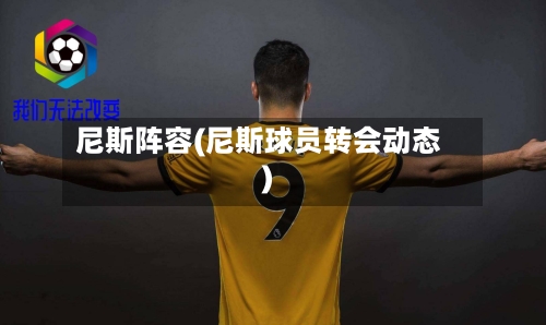 尼斯阵容(尼斯球员转会动态)-第2张图片