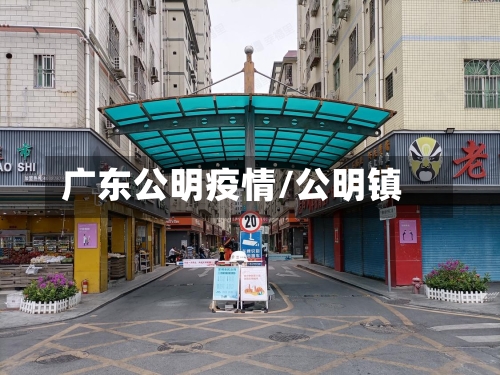 广东公明疫情/公明镇