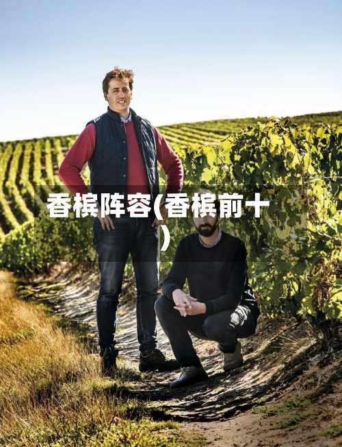 香槟阵容(香槟前十)-第2张图片