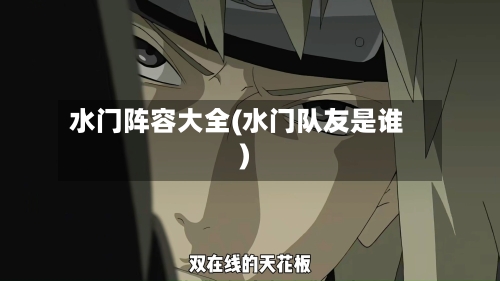 水门阵容大全(水门队友是谁)