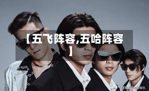 【五飞阵容,五哈阵容】
