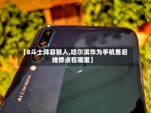 【8斗士阵容狼人,哈尔滨华为手机售后维修点在哪里】