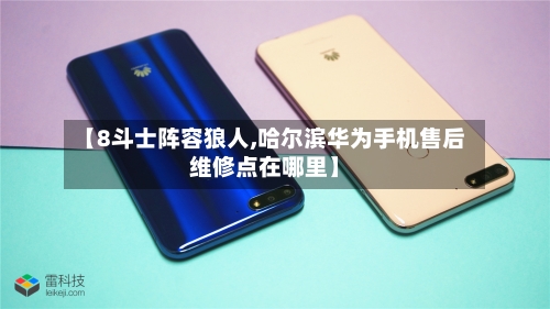 【8斗士阵容狼人,哈尔滨华为手机售后维修点在哪里】-第3张图片