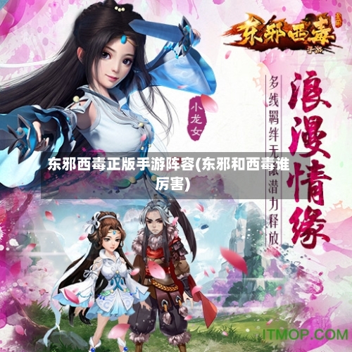 东邪西毒正版手游阵容(东邪和西毒谁厉害)-第3张图片