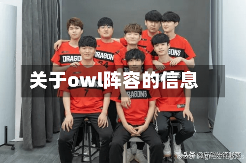 关于owl阵容的信息