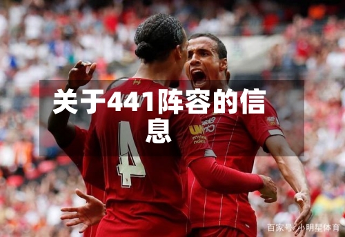 关于441阵容的信息-第2张图片