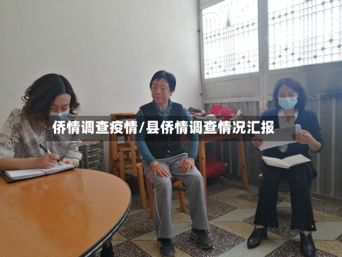 侨情调查疫情/县侨情调查情况汇报-第2张图片