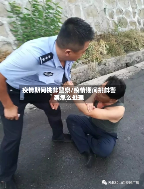 疫情期间挑衅警察/疫情期间挑衅警察怎么处理