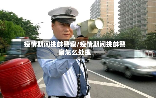 疫情期间挑衅警察/疫情期间挑衅警察怎么处理-第2张图片