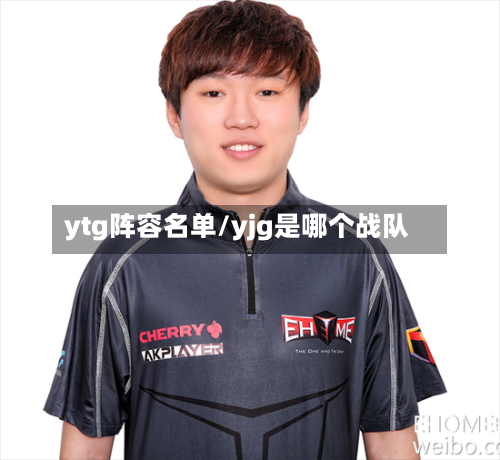 ytg阵容名单/yjg是哪个战队-第3张图片