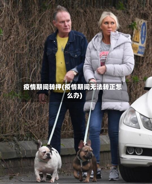 疫情期间转押(疫情期间无法转正怎么办)