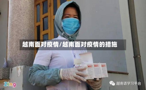 越南面对疫情/越南面对疫情的措施