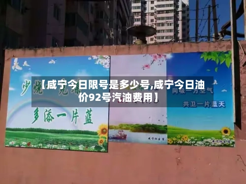 【咸宁今日限号是多少号,咸宁今日油价92号汽油费用】