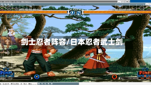 剑士忍者阵容/日本忍者武士剑-第2张图片