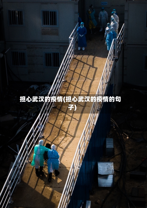 担心武汉的疫情(担心武汉的疫情的句子)-第3张图片