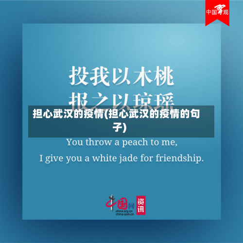 担心武汉的疫情(担心武汉的疫情的句子)-第2张图片