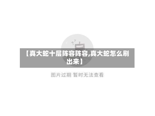 【真大蛇十层阵容阵容,真大蛇怎么刷出来】-第2张图片