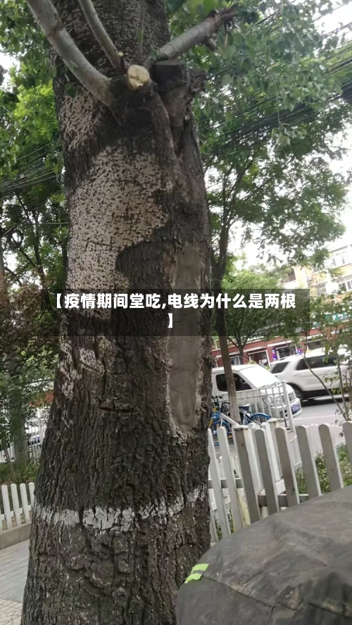 【疫情期间堂吃,电线为什么是两根】-第3张图片
