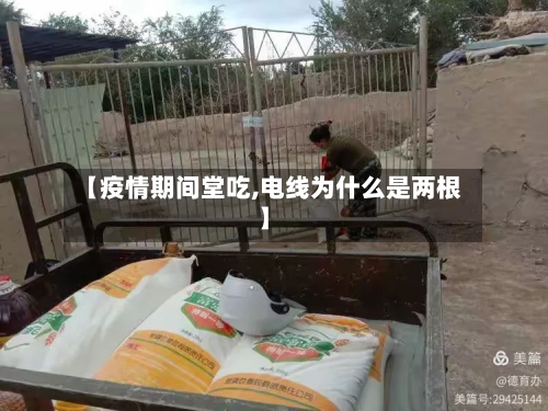 【疫情期间堂吃,电线为什么是两根】