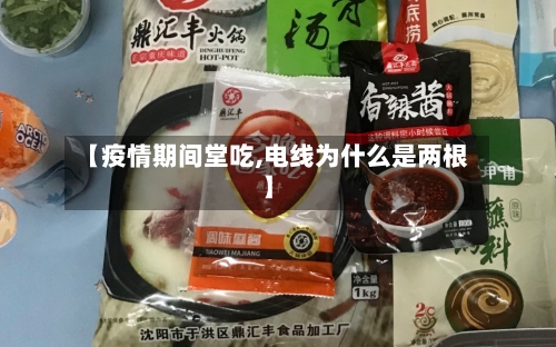 【疫情期间堂吃,电线为什么是两根】-第2张图片