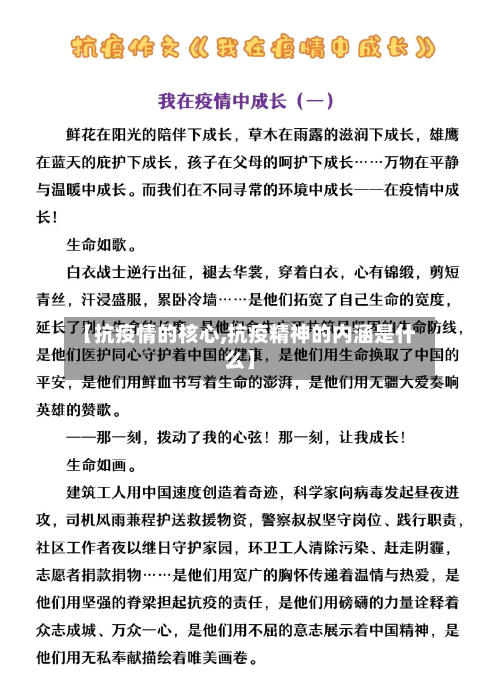【抗疫情的核心,抗疫精神的内涵是什么】-第2张图片
