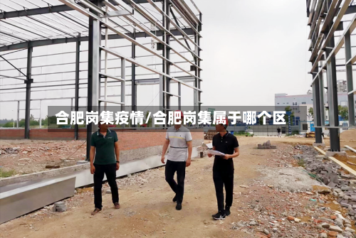合肥岗集疫情/合肥岗集属于哪个区-第3张图片