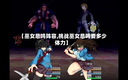 【巫女悲鸣阵容,挑战巫女悲鸣要多少体力】-第2张图片