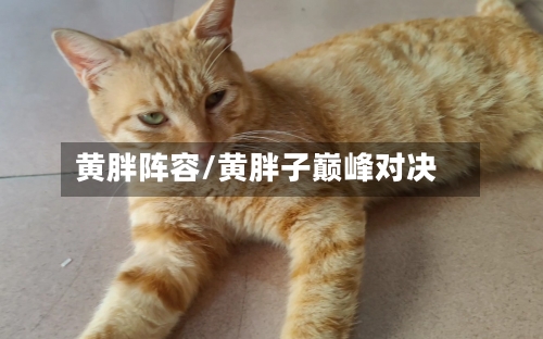 黄胖阵容/黄胖子巅峰对决