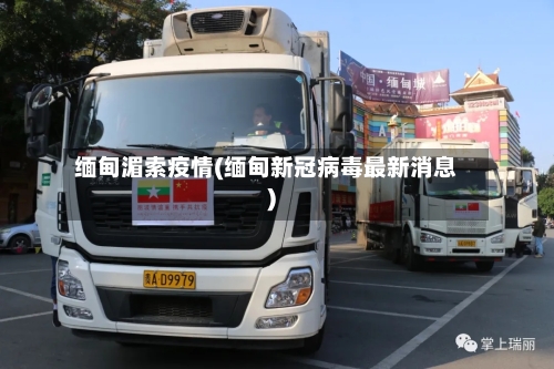 缅甸湄索疫情(缅甸新冠病毒最新消息)-第3张图片