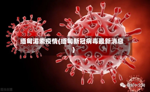 缅甸湄索疫情(缅甸新冠病毒最新消息)-第2张图片