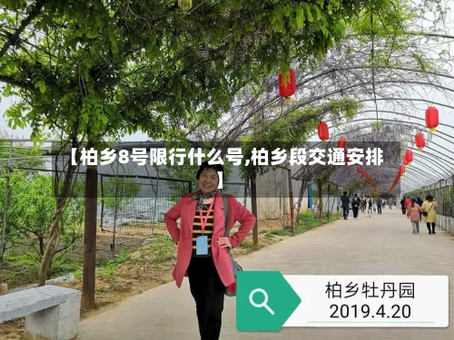 【柏乡8号限行什么号,柏乡段交通安排】-第2张图片