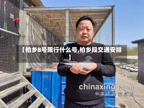 【柏乡8号限行什么号,柏乡段交通安排】-第3张图片