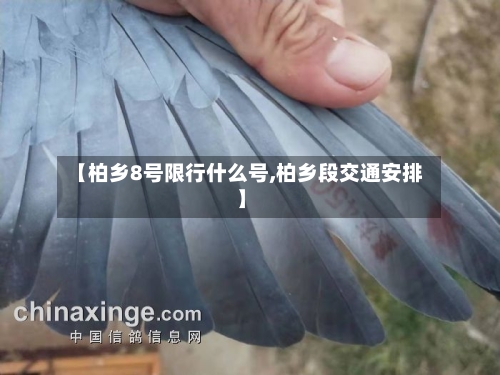 【柏乡8号限行什么号,柏乡段交通安排】