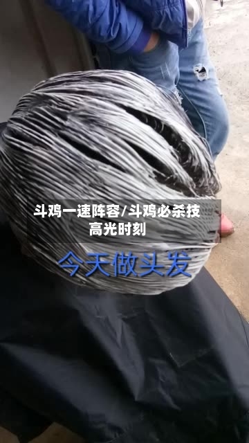 斗鸡一速阵容/斗鸡必杀技高光时刻-第2张图片