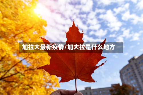 加拉大最新疫情/加大拉是什么地方-第3张图片