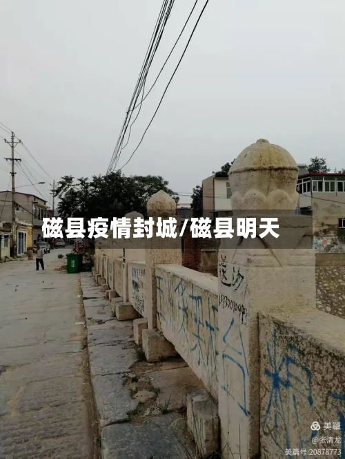 磁县疫情封城/磁县明天