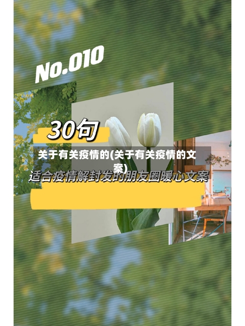 关于有关疫情的(关于有关疫情的文案)