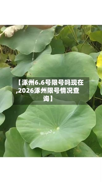 【涿州6.6号限号吗现在,2026涿州限号情况查询】-第2张图片