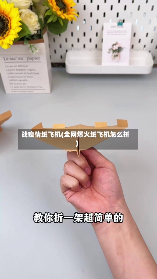 战疫情纸飞机(全网爆火纸飞机怎么折)-第3张图片