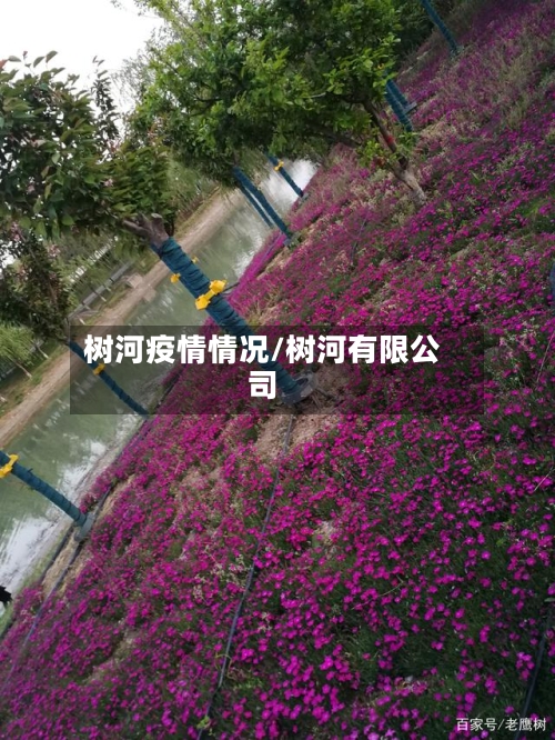树河疫情情况/树河有限公司