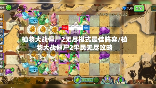 植物大战僵尸2无尽模式最佳阵容/植物大战僵尸2平民无尽攻略
